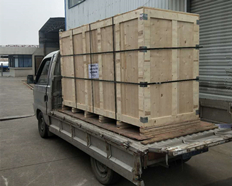 Cooking oil pressure leaf filter exported to Kenya